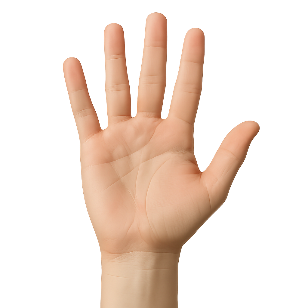 Palm scan